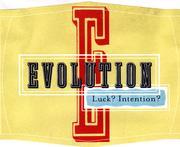 Sokol Blosser - Evolution White NV (750ml) (750ml)